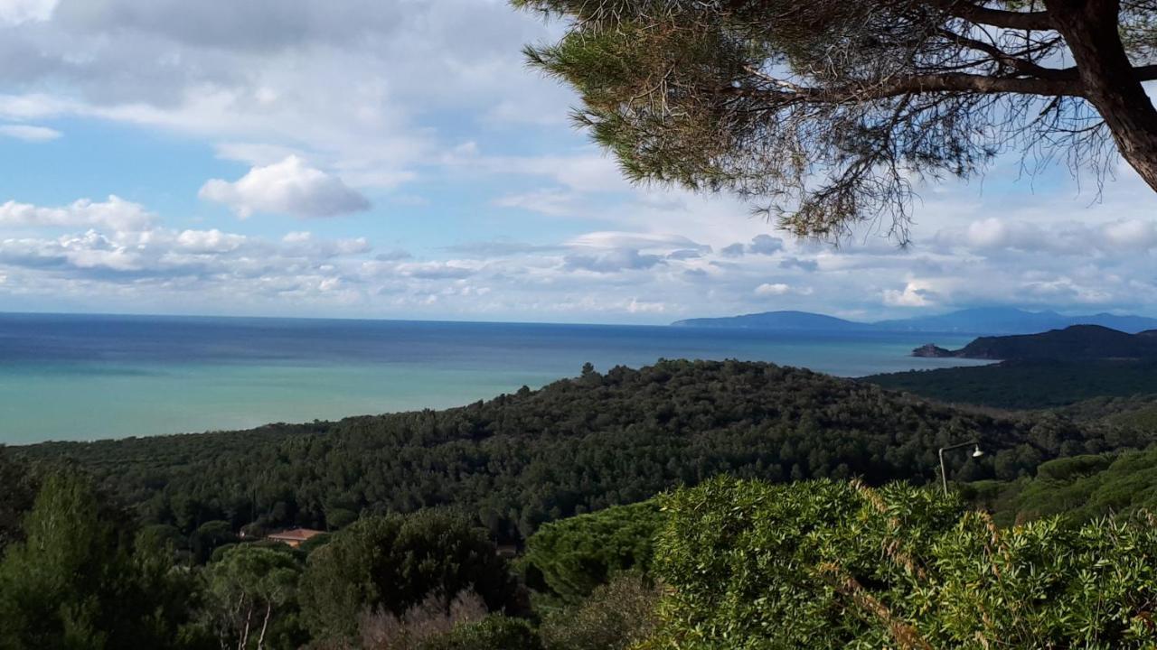 Villa Giulia Al Mare カスティリオーネ・デッラ・ペスカーイア エクステリア 写真
