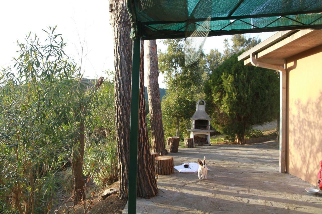 Villa Giulia Al Mare カスティリオーネ・デッラ・ペスカーイア エクステリア 写真