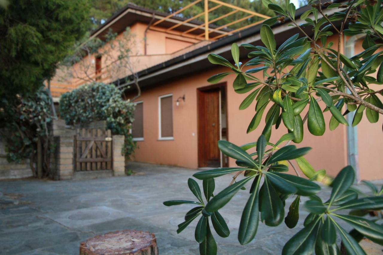 Villa Giulia Al Mare カスティリオーネ・デッラ・ペスカーイア エクステリア 写真